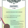 Универсальный комплект тренажера Маркелова с 9 электродами